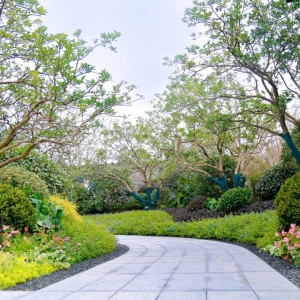 別墅庭院設(shè)計(jì)的后期如何養(yǎng)護(hù)一箭双雕（一举两得）？